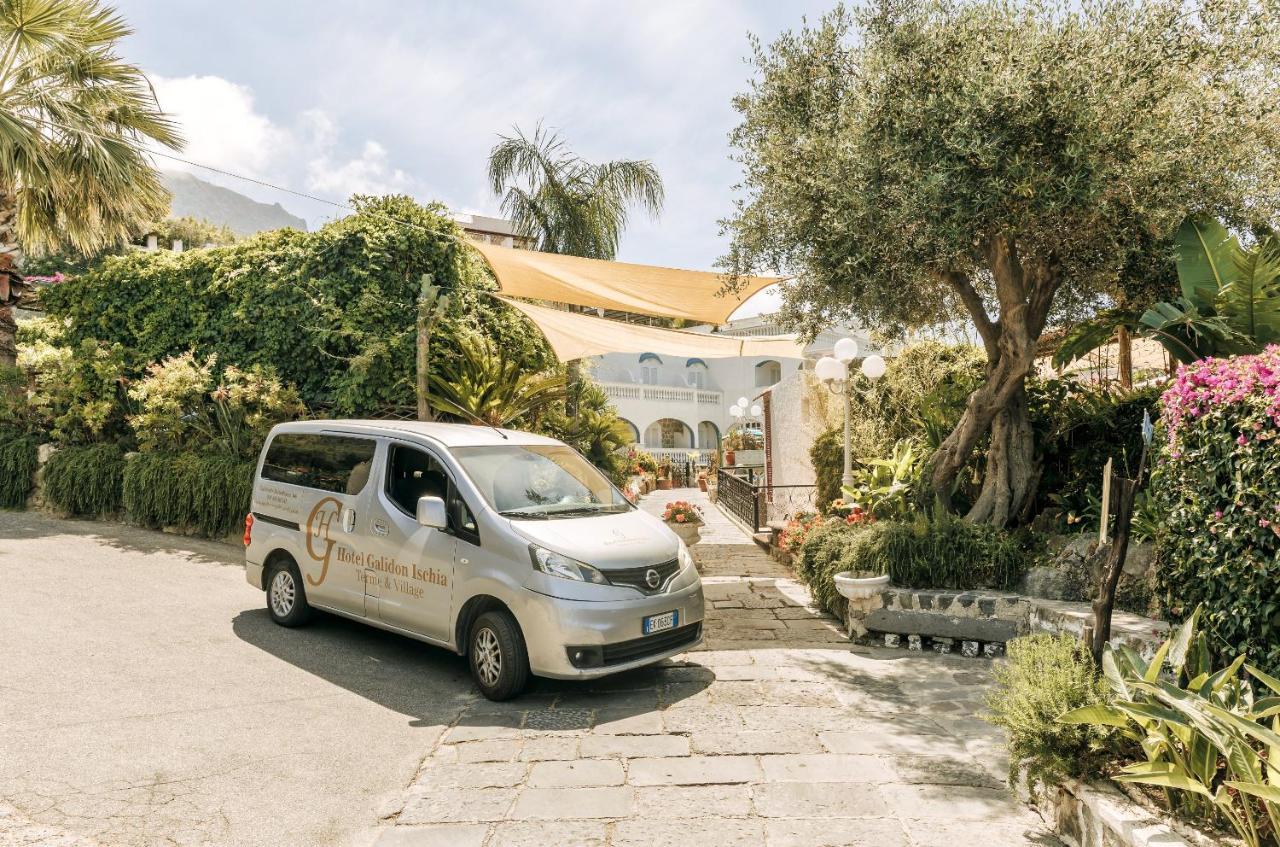 Hotel Galidon Wellness Park & Spa Forio di Ischia Zewnętrze zdjęcie